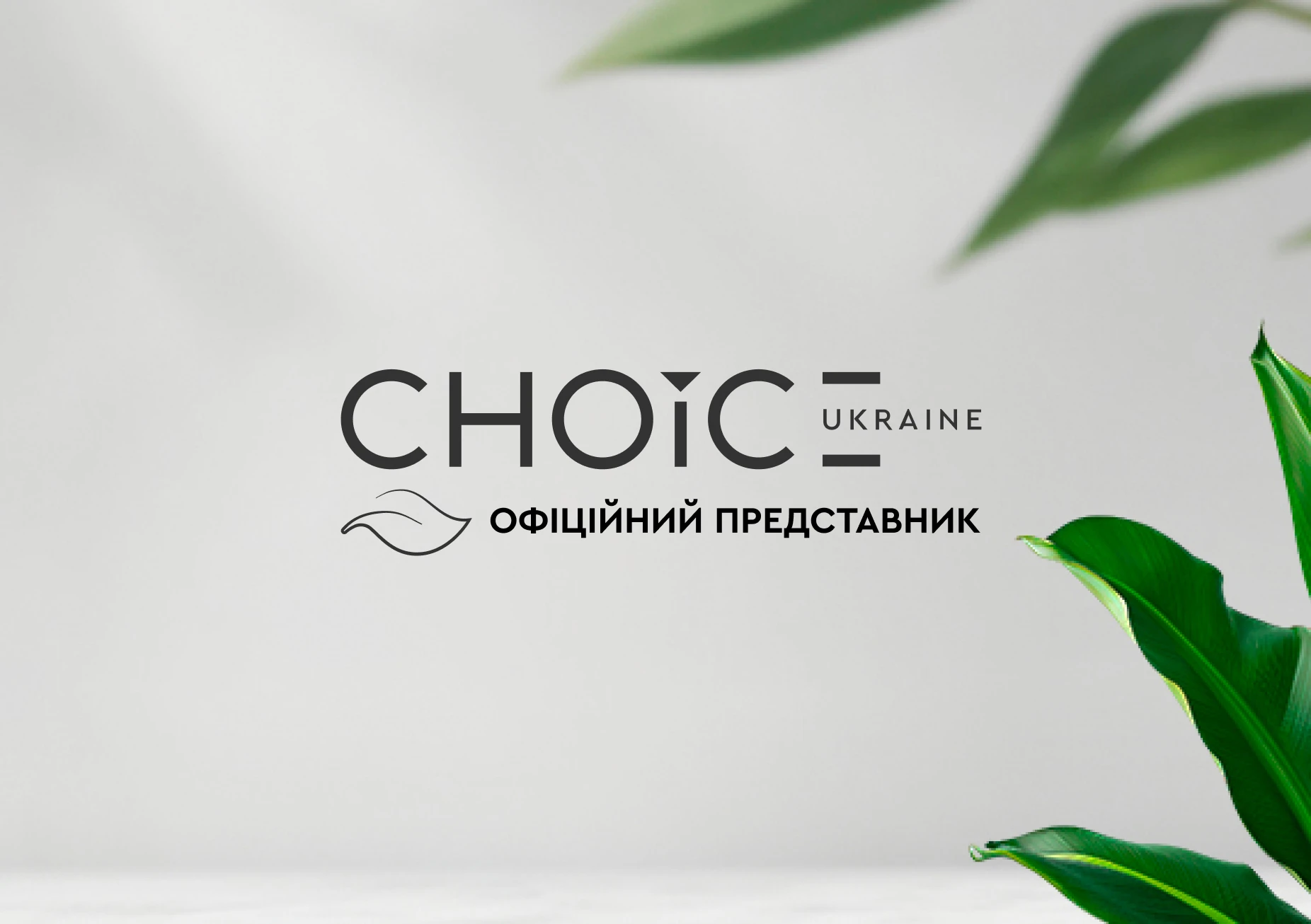 CHOICE — CHOICE. Разработка интернет-магазина для сети экологических брендов