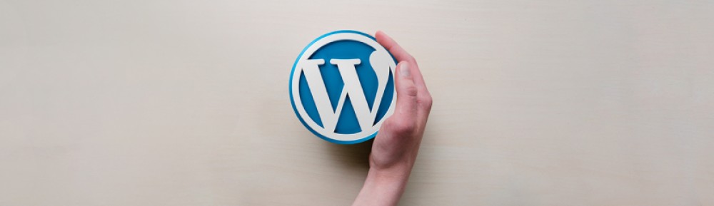  Top 5 CMS for Website Development: Choosing the Right Platform for Your Project in 20231  - Блог geniustudio.net