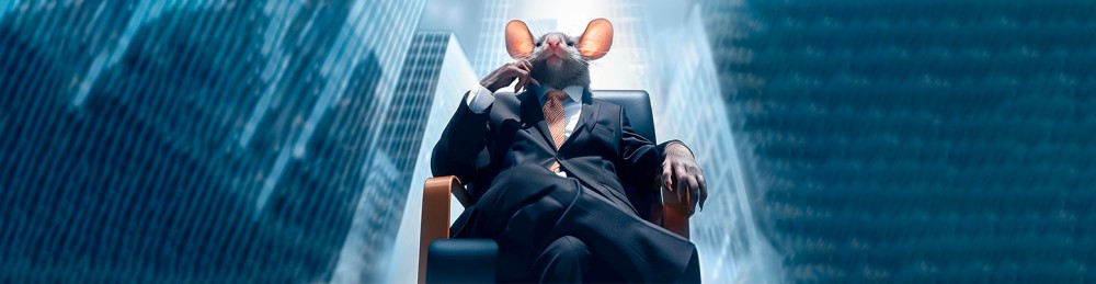 Внешний контент-маркетинг: лучшие приемы для продвижения сайта1  - Блог geniustudio.net