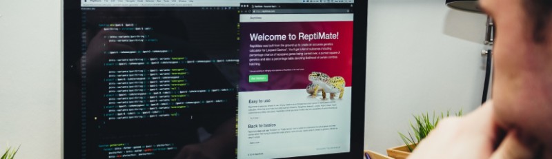 Geniustudio.net Блог - Complete Guide to Creating an Effective Landing Page