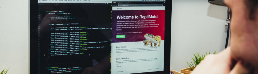 Повний путівник по розробці ефективної Landing Page